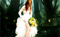 weddings + family + friends